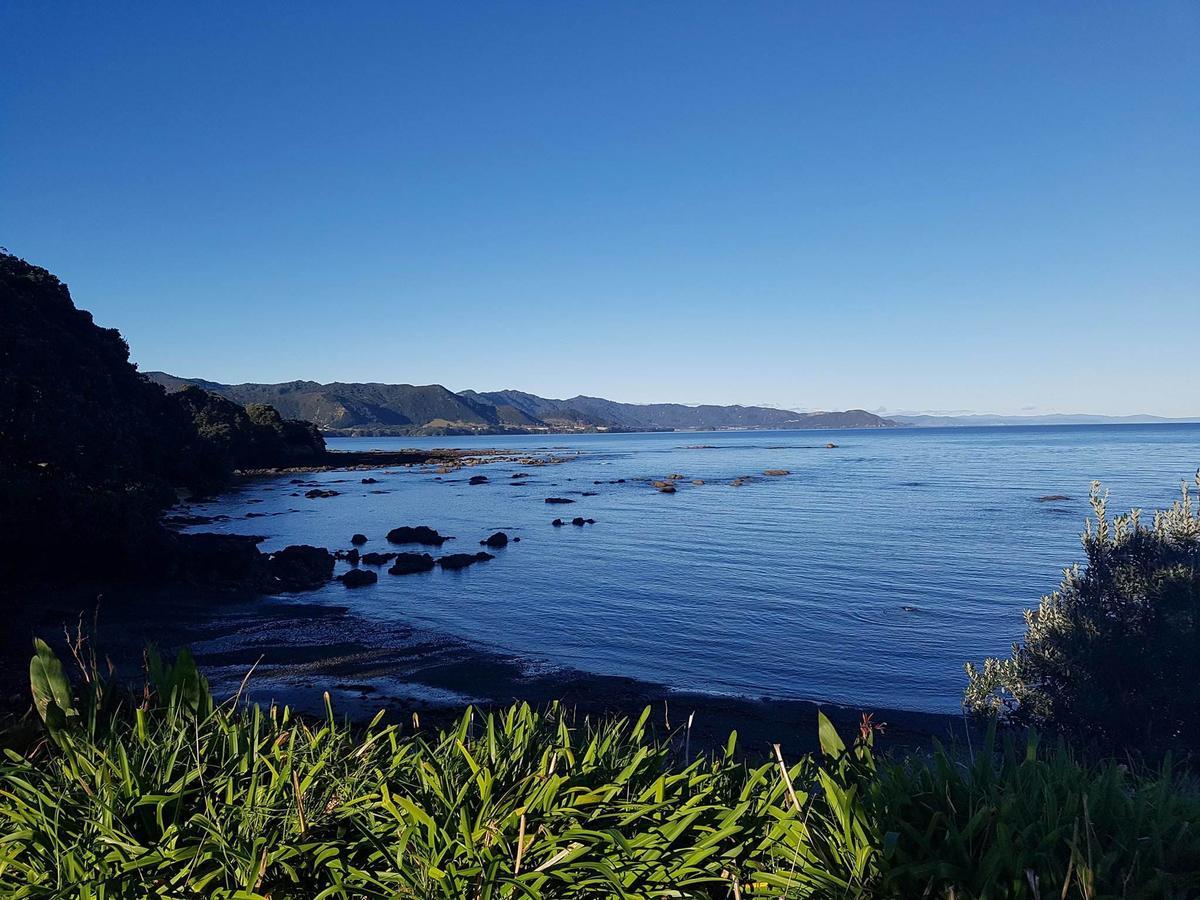 Te Kaha Beach Hotel Exteriér fotografie