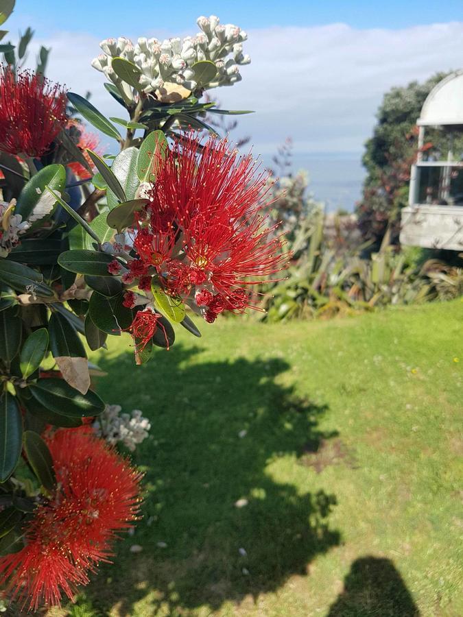 Te Kaha Beach Hotel Exteriér fotografie